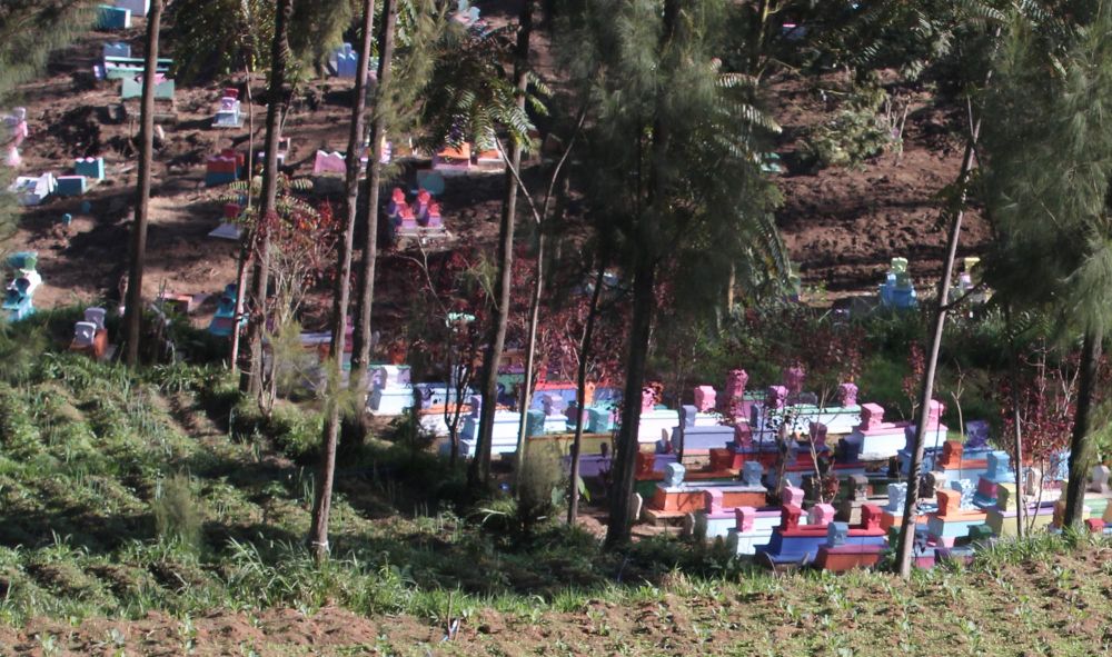 Makam di Kecamatan Tosari sudah berwarna sejak lama/Foto-foto: Budi Sugiharto