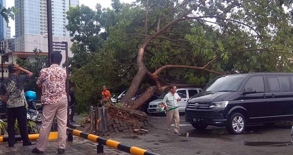 Pohon menimpa mobil di parkiran hotel JW Marriot