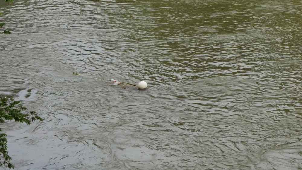 Pelampung penanda lokasi bangkai mobil