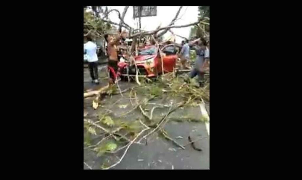 Tangkapan layar mobil tertimpa pohon di Bangkalan.