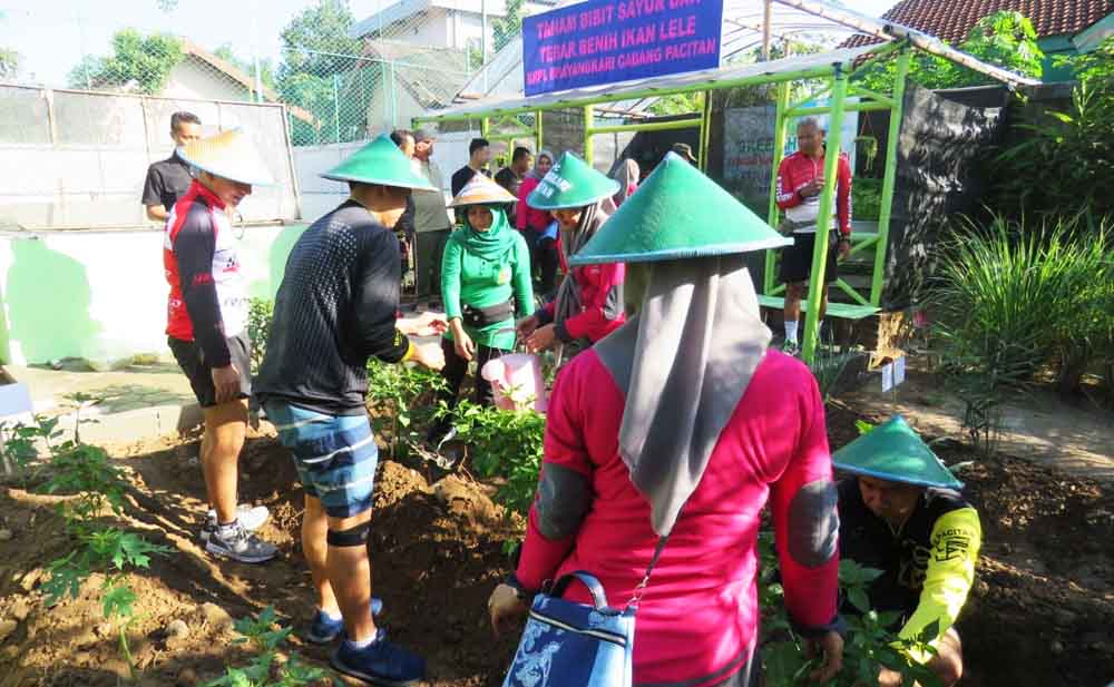 Suasana berkebun anggota TNI-Polri di Pacitan
