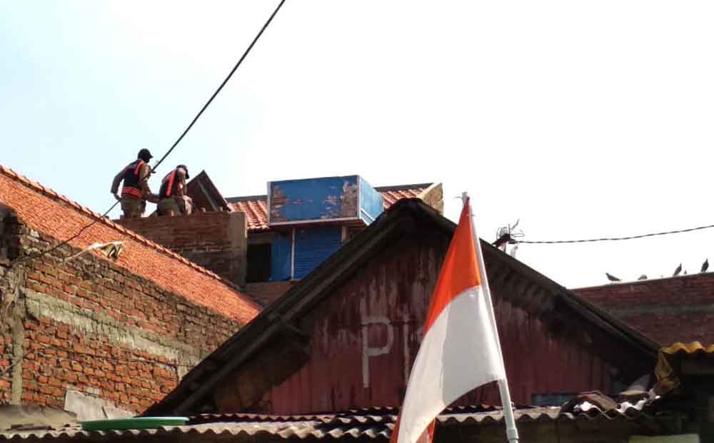 Petugas membongkar pagupon yang berada di rumah warga