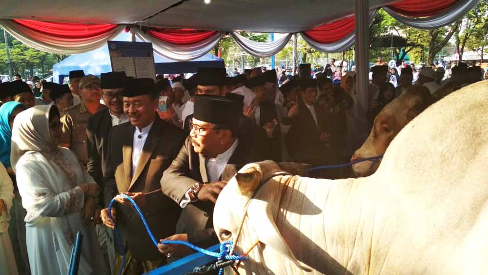 Bersama Khofifah di Masjid Al Akbar, Soekarwo Serahkan Sapi Jokowi