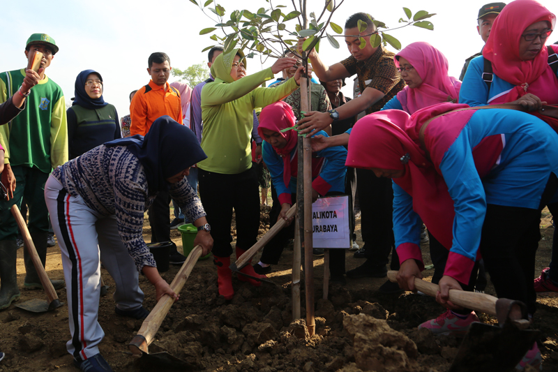Wali Kota Risma Tanam 1000 Pohon di Surabaya, Apa Alasannya?