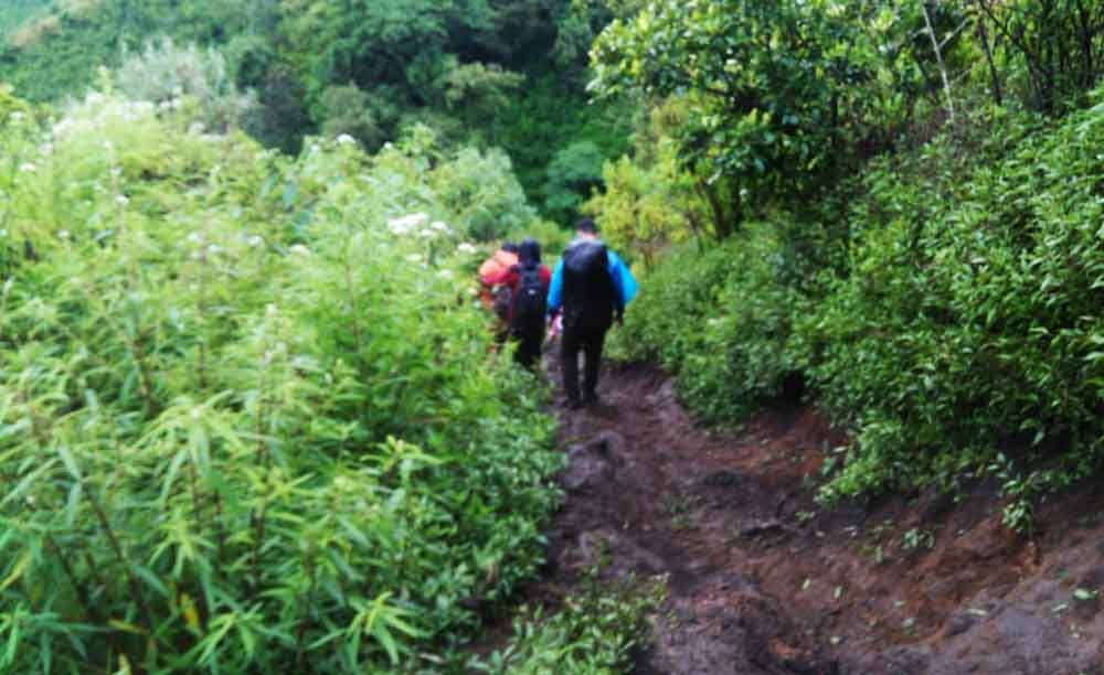 Proses evakuasi 15 pendaki yang terjebak di Gunung Butak