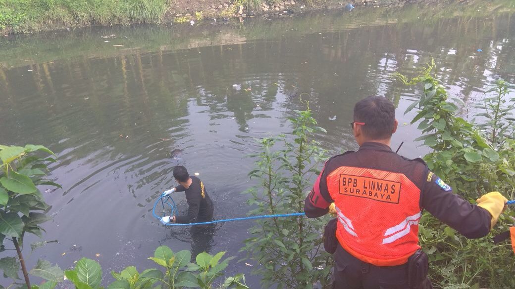 Tukang Becak Ditemukan Tewas Mengambang di Sungai Endrosono