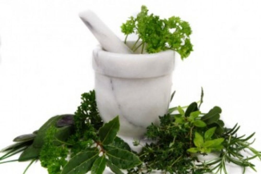 Pengobatan herbal/ilustrasi

