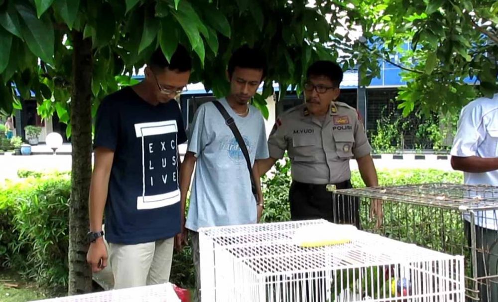 Petugas Balai Besar Karantina Pertanian menunjukkan burung-burung yang digagalkan.
