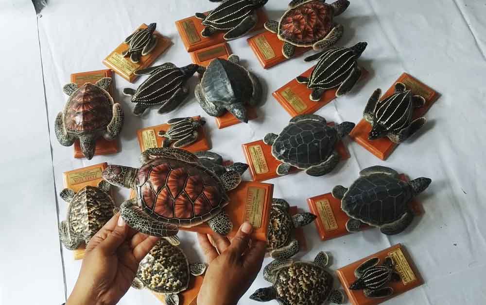 Replika penyu hasil garapan komunitas Banyuwangi Sea Turtle Foundation