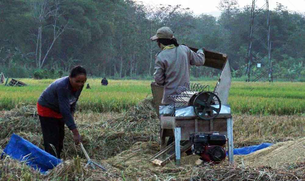 Subsidi Dikurangi, Petani Tulungagung Diminta Gunakan Pupuk Organik