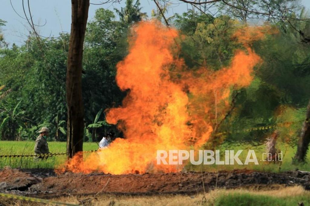 Semburan api dari gas liar di Desa Sukaperna, Tukdana, Indramayu, Jawa Barat (Foto: Antara /Dedhez Anggara via Republika)
