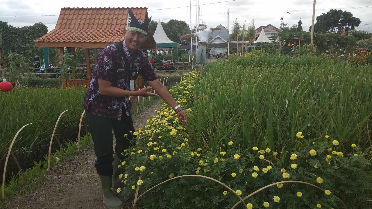 Kepala Bidang Hortikultura dan Perkebunan Disperta Banyuwangi, Mohamad Khoiri 
