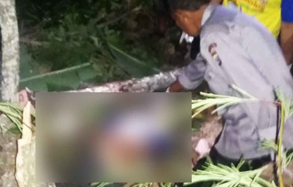 Proses evakuasi korban tertimpa batang pohon
