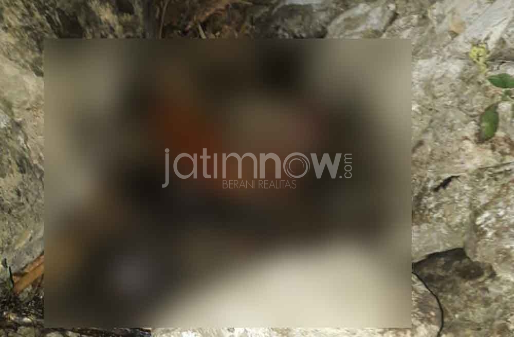 Lokasi ditemukannya nenek yang menghilang di 