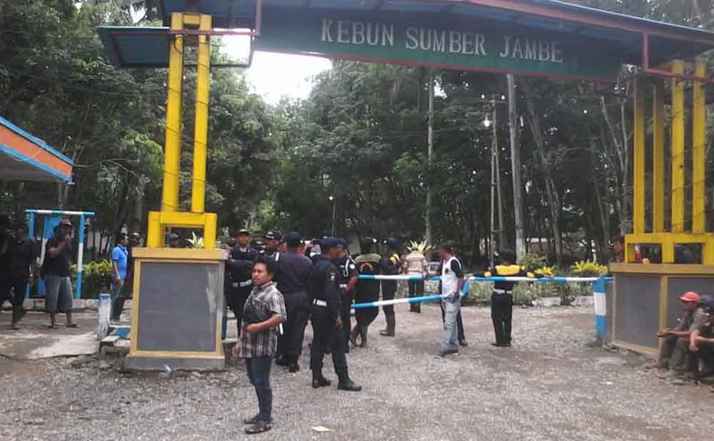Pintu masuk PT Perkebunan Nasional (PTPN) XII Sumberjambe