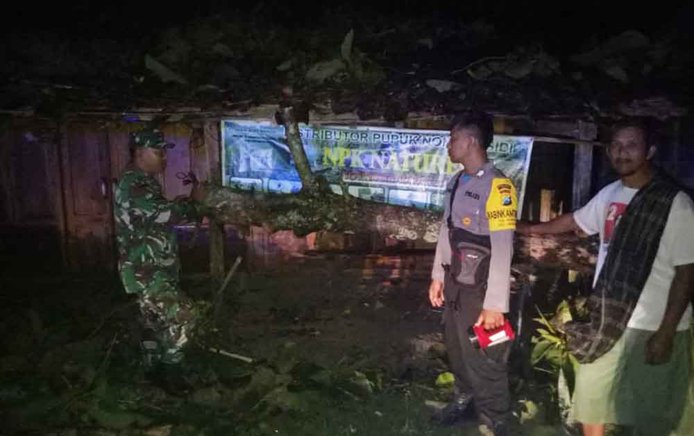 Petugas mengevakuasi pohon tumbang akibat puting beliung