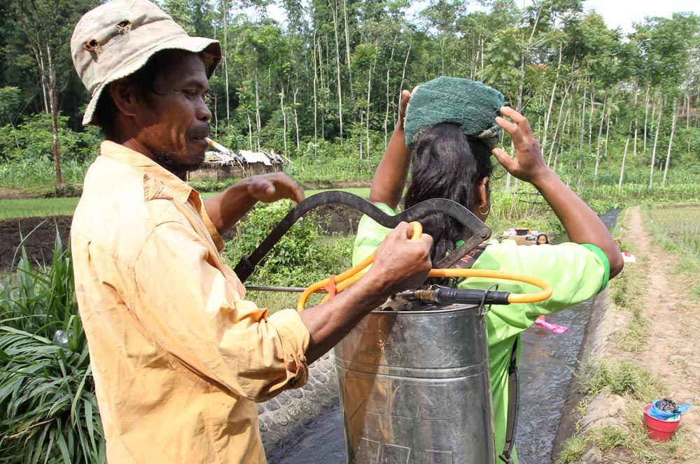 Foto ilustrasi: Budi Sugiharto- jatimnow.com