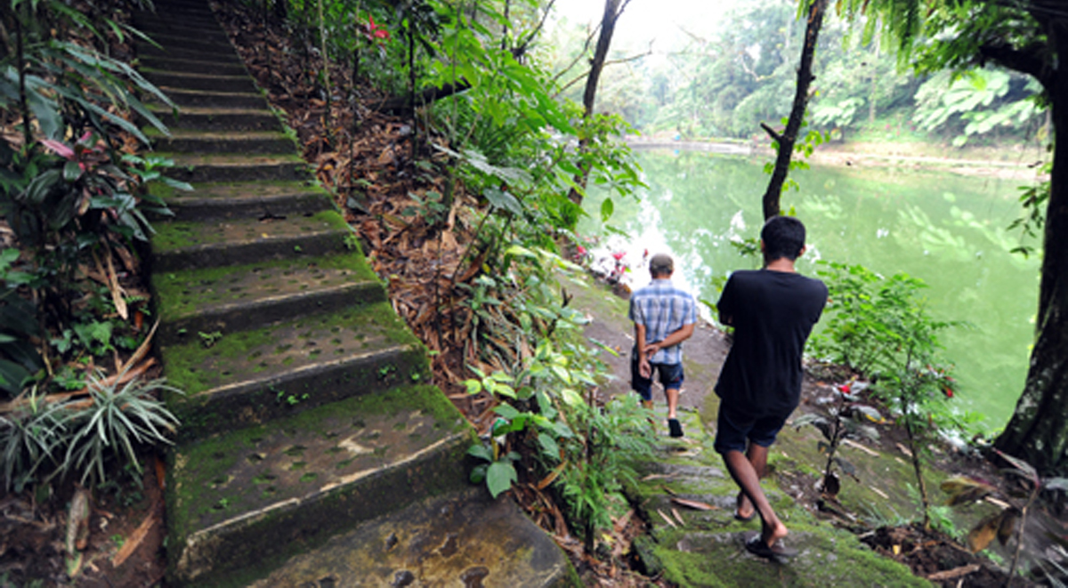 Rowo Bayu yang terletak di Desa Bayu, Kecamatan Songgon, Banyuwangi.