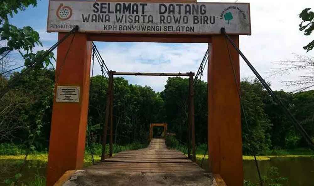 Lokasi Rowo Biru Banyuwangi