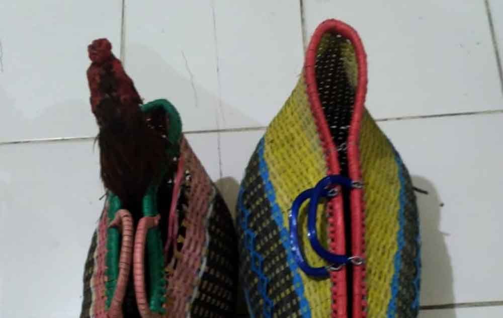 Barang bukti ayam aduan yang berhasil disita