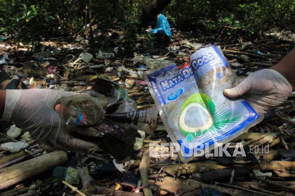Aktivis lingkungan memungut sampah plastik yang berserakan di Hutan Mangrove Wonorejo, Surabaya, Jawa Timur | Foto: Antara/Didik Suhartono via Republika.
