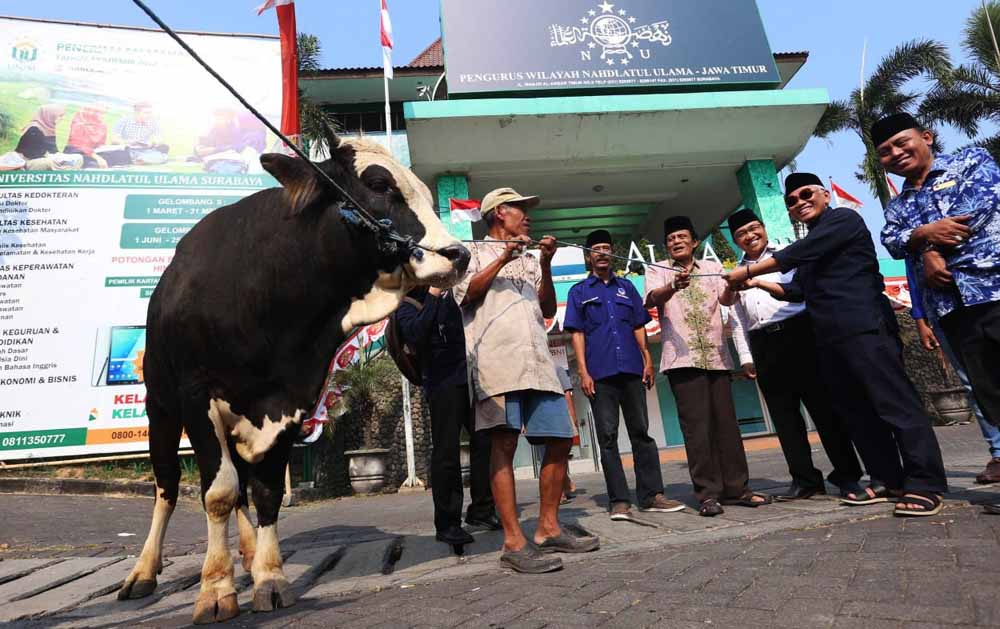 Proses penyerahan sapi di kantor PWNU Jatim