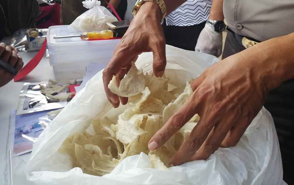 Sarang walet yang berhasil diamankan