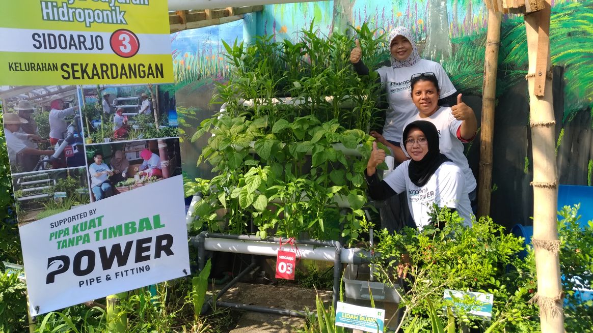 Warga menunjukkan tanaman sayuran dengan media hidroponik.