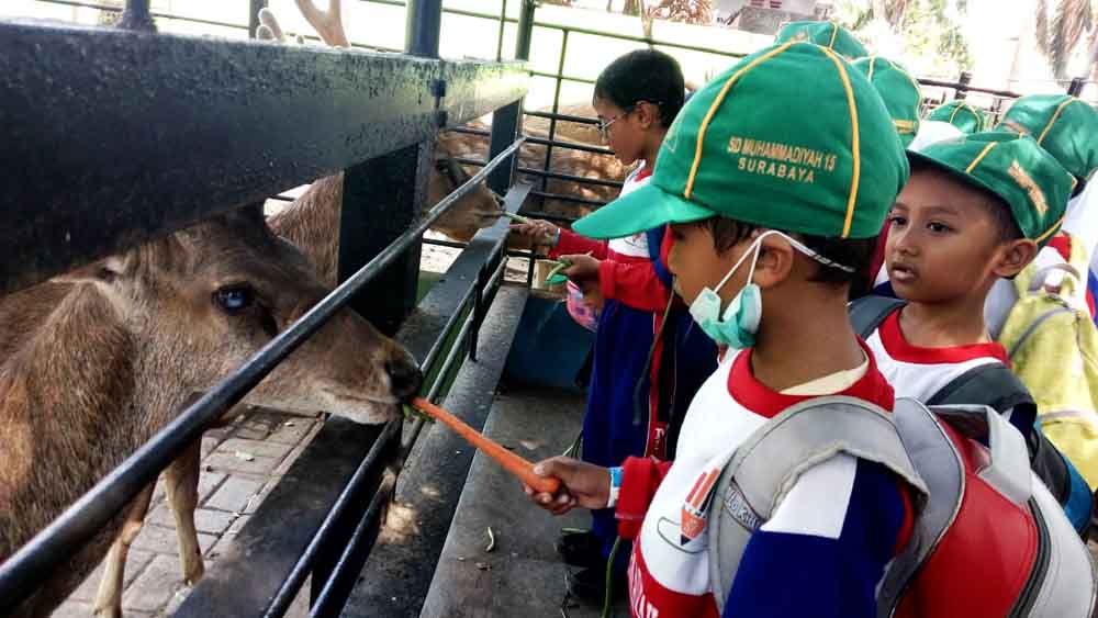 Kenalkan Jenis-jenis Satwa, SD Muhammadiyah 15 Ajak Siswanya ke KBS