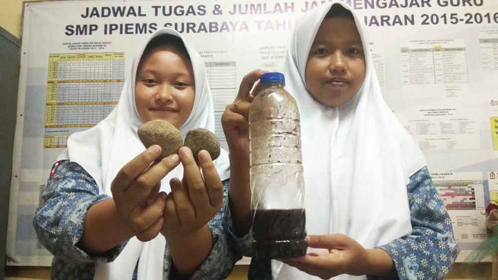 Pengawet Pentol Bakso Berbahan Kluwek, ini Penemuan Pelajar SMP