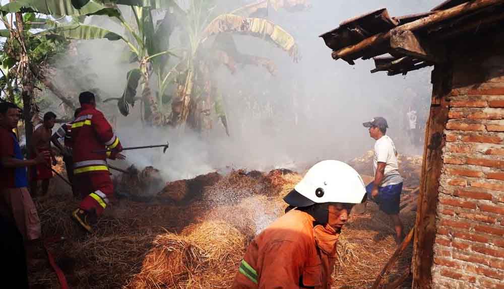 Petugas PMK bersama warga berupaya memadamkan api