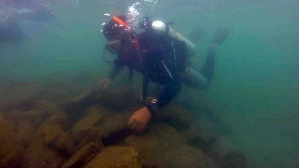 Transplantasi terumbu karang dengan media batu kapur di Banyuwangi