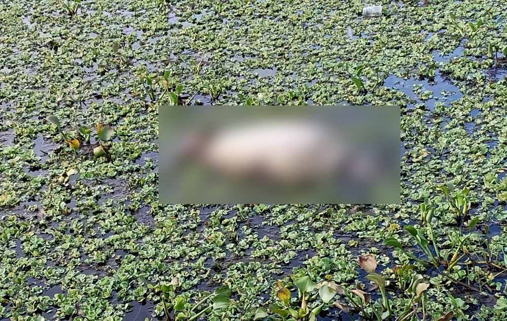 Jenazah matsari saat pertama kali ditemukan