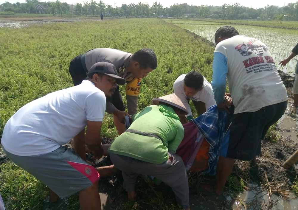 Petani di Ngawi Ditemukan Tewas di Sawah