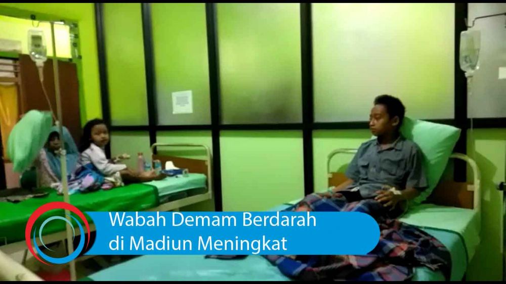 Video: Wabah Demam Berdarah di Madiun Meningkat