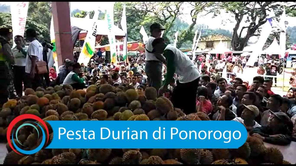 Video: Pesta Durian di Ponorogo