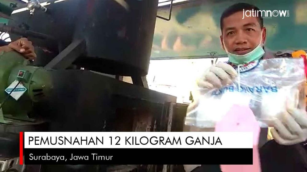 Video: Pemusnahan 12 Kilogram Ganja di Surabaya
