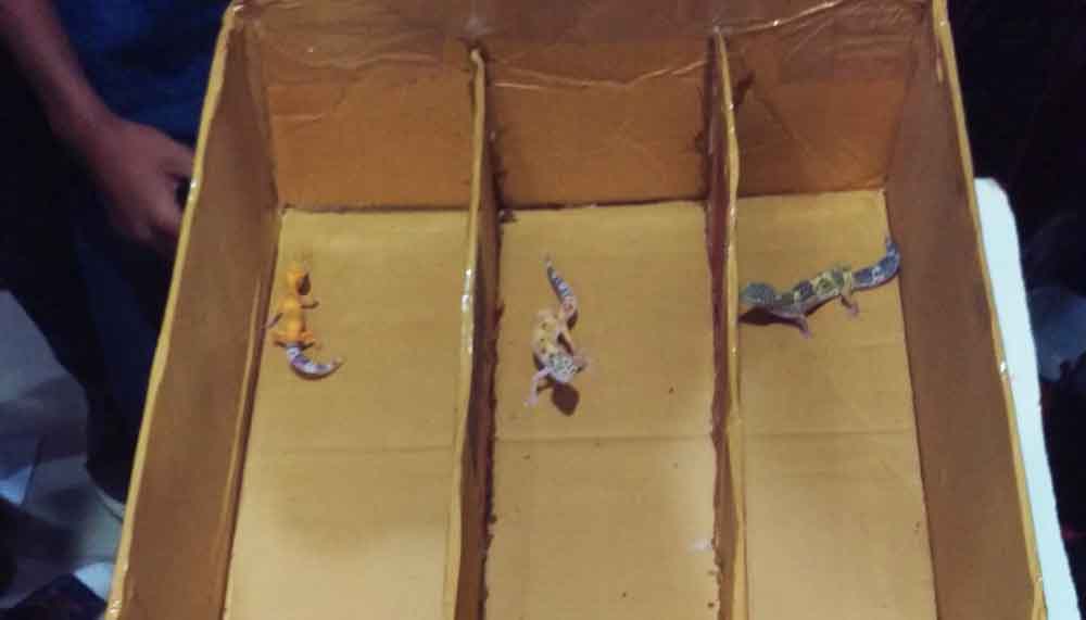 Suasana lomba ketangkasan di mal BG Junction Surabaya