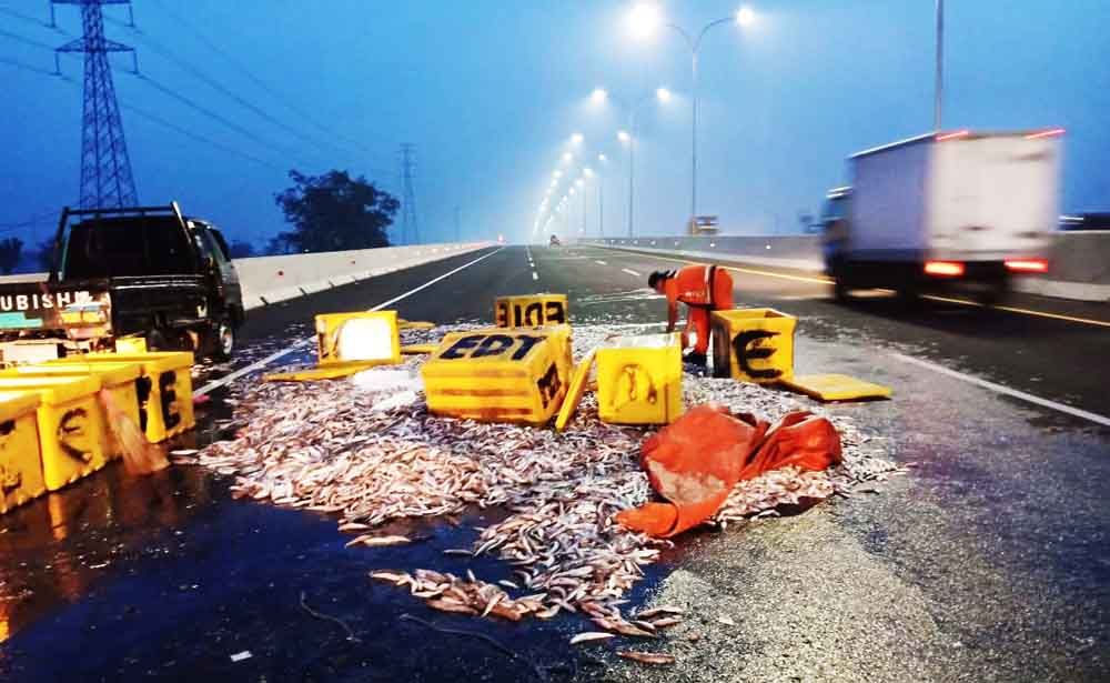 Ikan muatan pikap yang terguling berserakan di jalan 