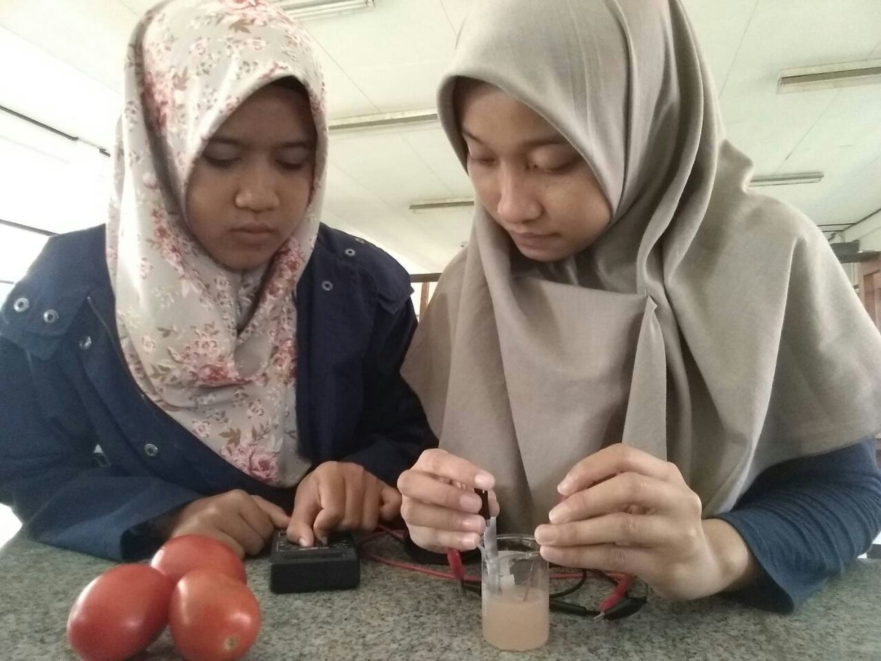 Mahasiswa ITS saat mencoba Baterai Gel dari Buah Tomat/Foto: Fahrizal Tito