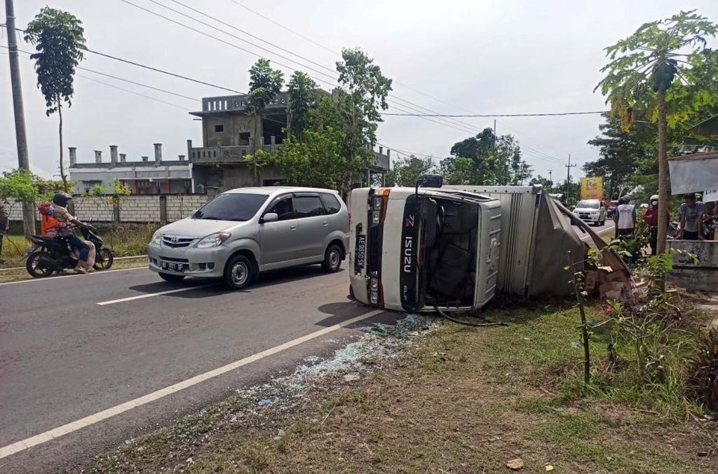 Muatan kacang hijau dari truk yang terguling di Madiun